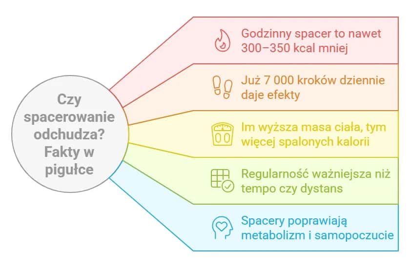 Godzinny spacer – ile kalorii spalisz i jak zwiększyć efektywność chodzenia